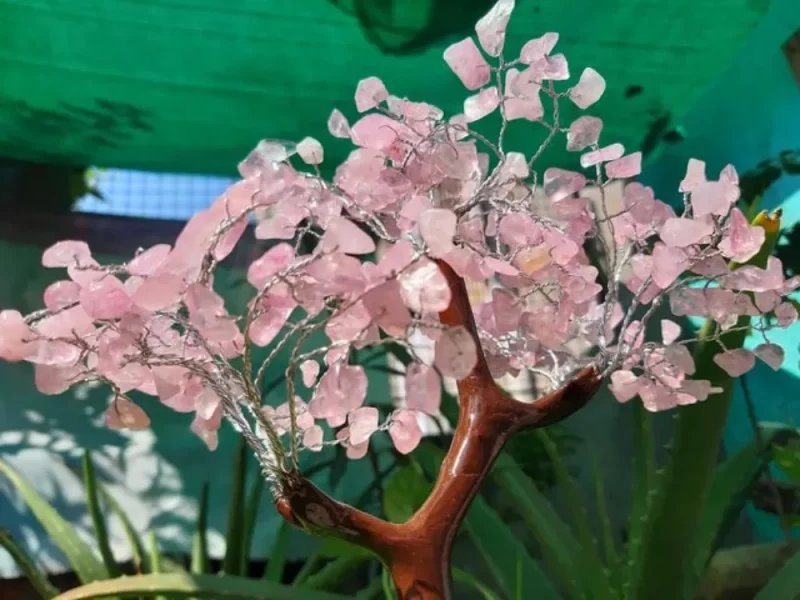 il_fullxfull.2928830164_3a70