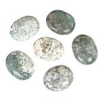 Moss Agate Palm Stone