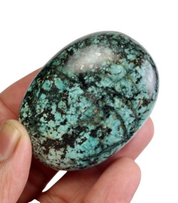 African Turquoise Palm Stone