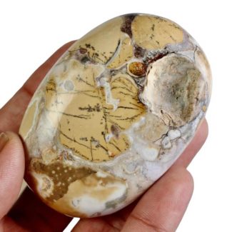 King Cobra Jasper Palm Stone