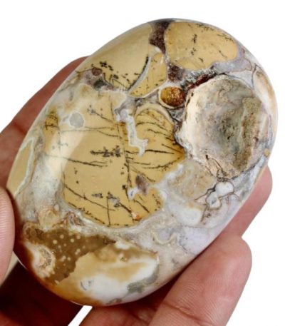 King Cobra Jasper Palm Stone