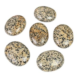 Dalmatian Jasper Palm Stone