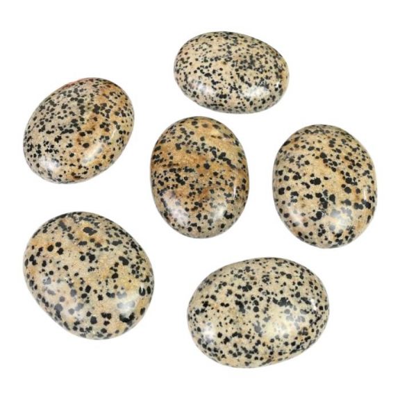 Dalmatian Jasper Palm Stone