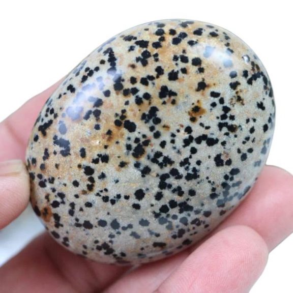 Dalmatian Jasper Palm Stone
