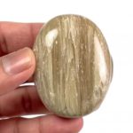 Cat’s Eye Palm Stone