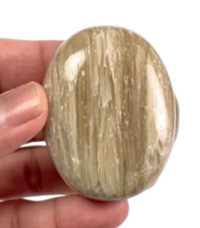 Cat’s Eye Palm Stone