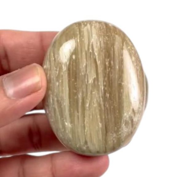 Cat’s Eye Palm Stone